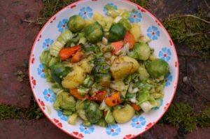 Kartoffelsalat mit Endivien, Kürbis und Kohlsprossen