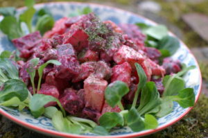 Rote Rüben Kartoffel Salat mit Gürkchen