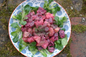 Rote Rüben-Kartoffel-Salat mit Gürkchen