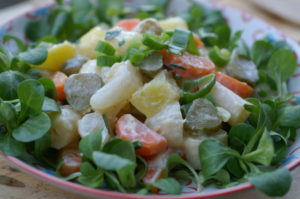 winterlicher Schwarzwurzelsalat