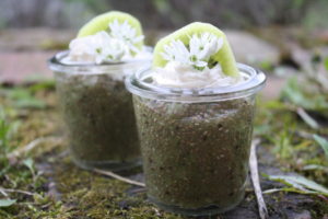 Chia-Kiwi-Dessert