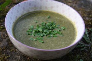 schnelle Frühlingskräutersuppe