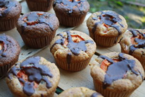 Marillen Muffins