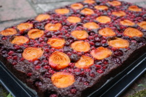 Marillenkuchen mit Beeren