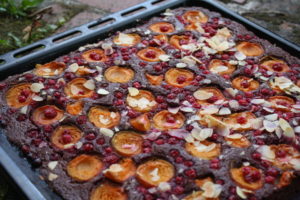 dunkler Marillen Ribiselkuchen mit Mandelblättchen