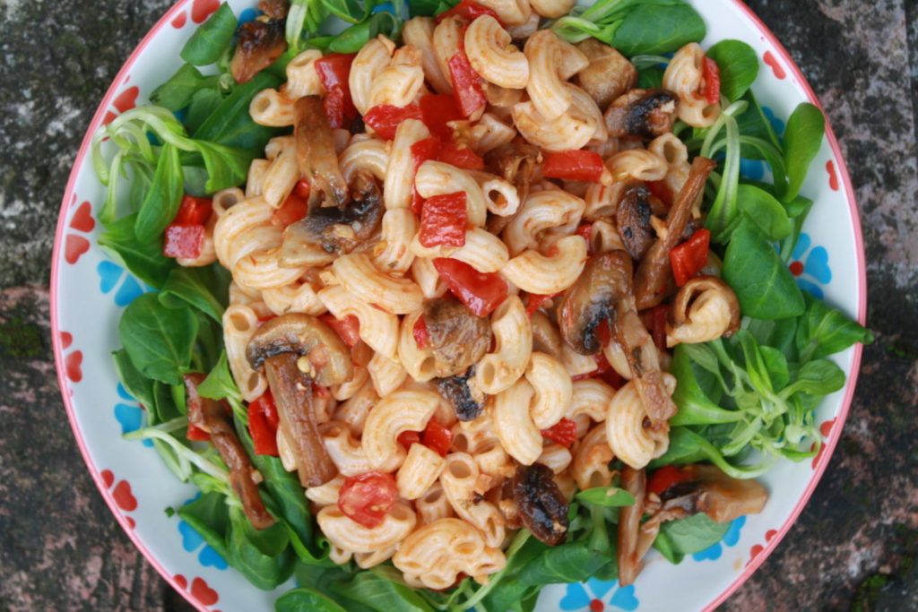 Nudelsalat mit Pilzen und Tomaten
