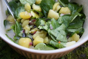 Kartoffelsalat mit Vogerlsalat