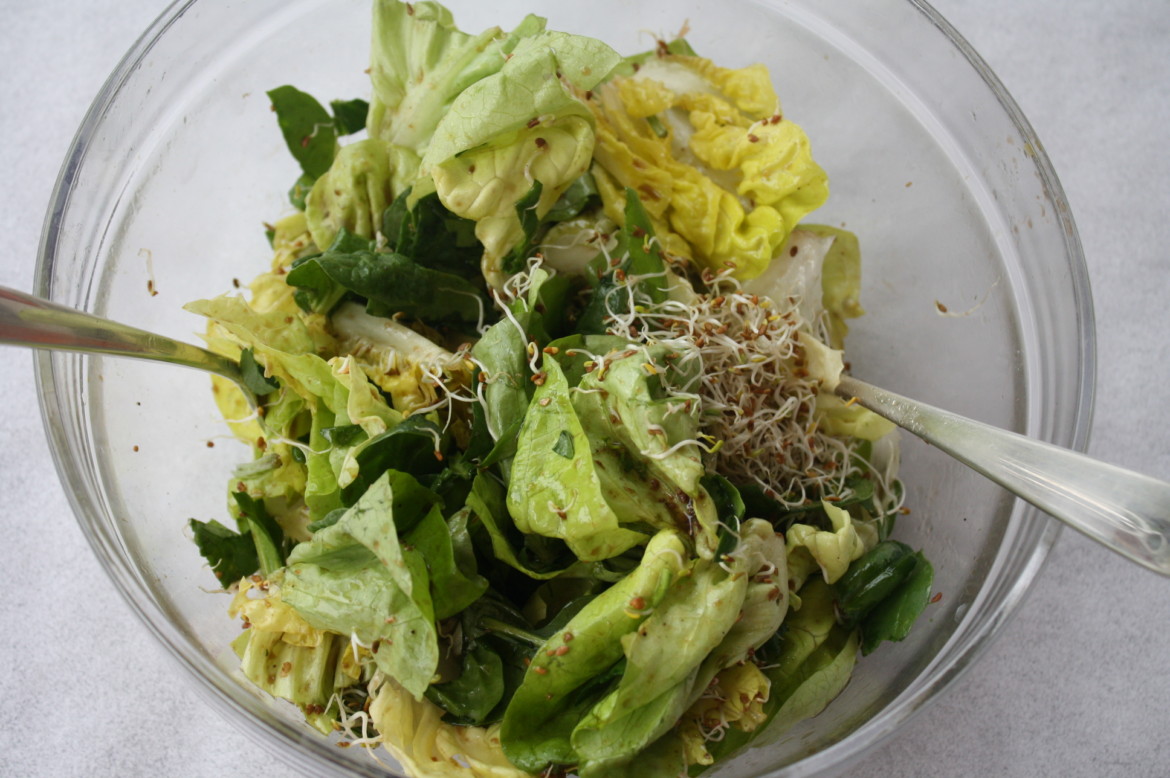 Blattsalat mit Alfalfa-Sprossen - Ehrlich und Echt