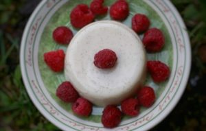 Panna Cotta vegan 